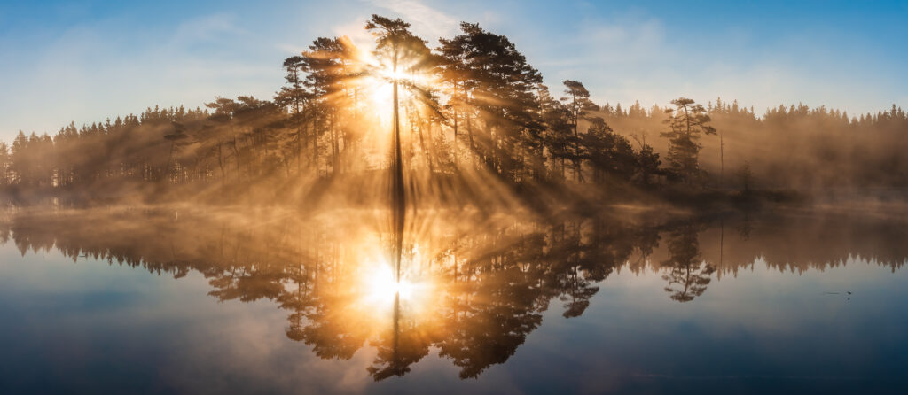 counseling for mindfulness