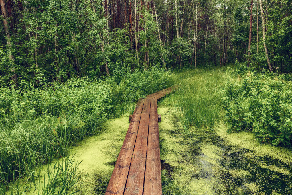 Counseling for mindfulness